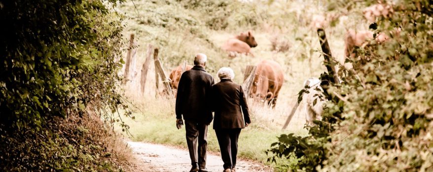 Elderly Couple Walking in the Park