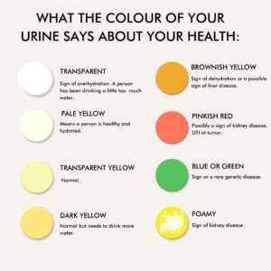 Cirles of colour to indicate what it means if your urine is this colour