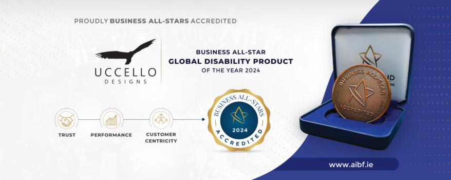 Business All-Star Global Disability Product of the Year 2024